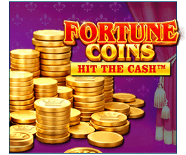Fortune Coins Duckysino casino